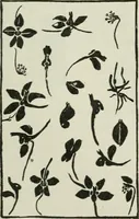 An illustration from Art (1916)