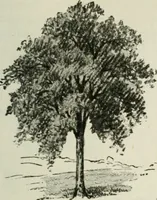 An illustration from Art (1916)