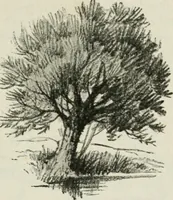 An illustration from Art (1916)