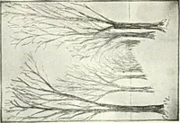An illustration from Art (1916)