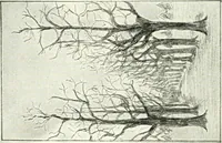 An illustration from Art (1916)