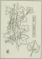 An illustration from Art (1916)