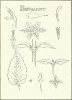 An illustration from Art (1916)