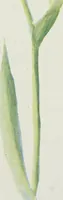 An illustration from Art (1916)
