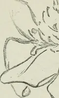 An illustration from Art (1916)