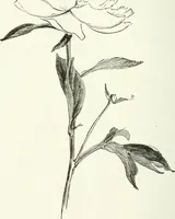 An illustration from Art (1916)