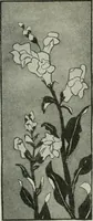 An illustration from Art (1916)