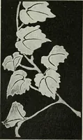 An illustration from Art (1916)