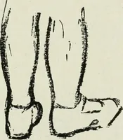 An illustration from Art (1916)