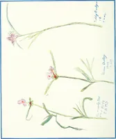 An illustration from Art (1916)