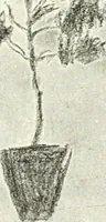 An illustration from Art (1916)
