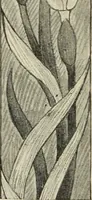 An illustration from Art crafts for amateurs (1901)
