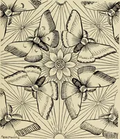 An illustration from Art crafts for amateurs (1901)