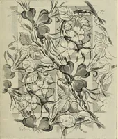 An illustration from Art crafts for amateurs (1901)