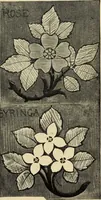 An illustration from Art crafts for amateurs (1901)