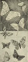 An illustration from Art crafts for amateurs (1901)