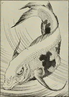 An illustration from Art crafts for amateurs (1901)