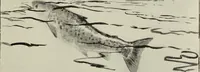 An illustration from Art crafts for amateurs (1901)
