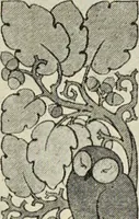 An illustration from Art crafts for amateurs (1901)