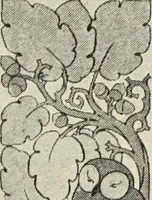 An illustration from Art crafts for amateurs (1901)