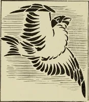 An illustration from Art crafts for amateurs (1901)