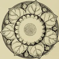 An illustration from Art crafts for amateurs (1901)