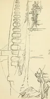 An illustration from Art culture: a hand-book of art technicalities and criticisms (1873)
