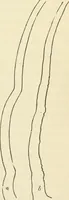 An illustration from Art culture: a hand-book of art technicalities and criticisms (1873)
