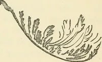 An illustration from Art culture: a hand-book of art technicalities and criticisms (1873)