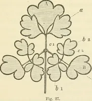 An illustration from Art culture: a hand-book of art technicalities and criticisms (1873)