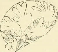 An illustration from Art culture: a hand-book of art technicalities and criticisms (1873)