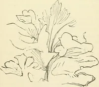 An illustration from Art culture: a hand-book of art technicalities and criticisms (1873)