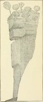An illustration from Art culture: a hand-book of art technicalities and criticisms (1873)