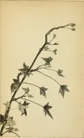 An illustration from Art culture: a hand-book of art technicalities and criticisms (1873)
