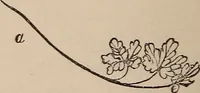 Picture 16 of 62 from Art culture : a hand-book of art technicalities and criticisms (1873), leaf 107