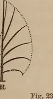 An illustration from Art culture : a hand-book of art technicalities and criticisms (1873)
