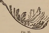 Picture 22 of 62 from Art culture : a hand-book of art technicalities and criticisms (1873), leaf 112