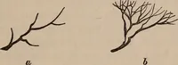 An illustration from Art culture : a hand-book of art technicalities and criticisms (1873)