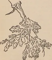 An illustration from Art culture : a hand-book of art technicalities and criticisms (1873)