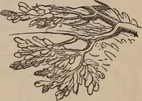 Picture 39 of 62 from Art culture : a hand-book of art technicalities and criticisms (1873), leaf 324