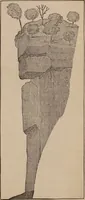 Picture 43 of 62 from Art culture : a hand-book of art technicalities and criticisms (1873), leaf 374