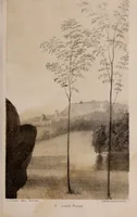 Picture 45 of 62 from Art culture : a hand-book of art technicalities and criticisms (1873), leaf 380