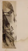 Picture 46 of 62 from Art culture : a hand-book of art technicalities and criticisms (1873), leaf 384