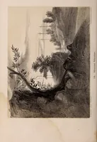 Picture 50 of 62 from Art culture : a hand-book of art technicalities and criticisms (1873), leaf 397