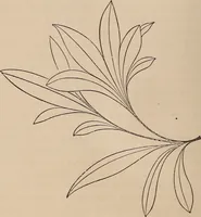 An illustration from Art culture : a hand-book of art technicalities and criticisms (1873)