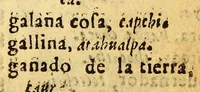 An illustration from Arte de la lengua aymara. (1616)