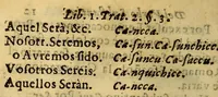 An illustration from Arte de la lengua general de los indios del Peru. Por Ivan Roxo Mexia y Ocon, natural de la ciudad del Cuzco, cura rector de la iglesia parroquial del Señor Sebastian desta ciudad de los Reyes, catedratico de dicha lengua en su Real Vniversidad, examinador general en ella por Su Magestad (1648)