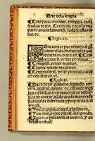 An illustration from Arte de la lengua mexicana y castellana, (1571)