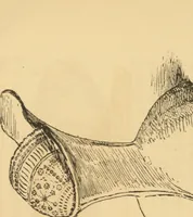 Picture 4 of 9 from Art education applied to industry (1877), leaf 96