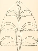 An illustration from Art education, scholastic and industrial. (1872)